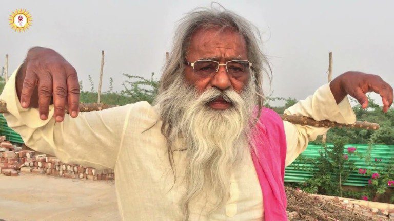एक जंगल में तीन बैल रहते थे